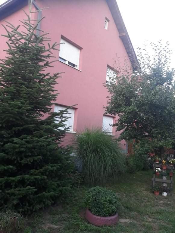 Berilovac Apartman Drina מראה חיצוני תמונה