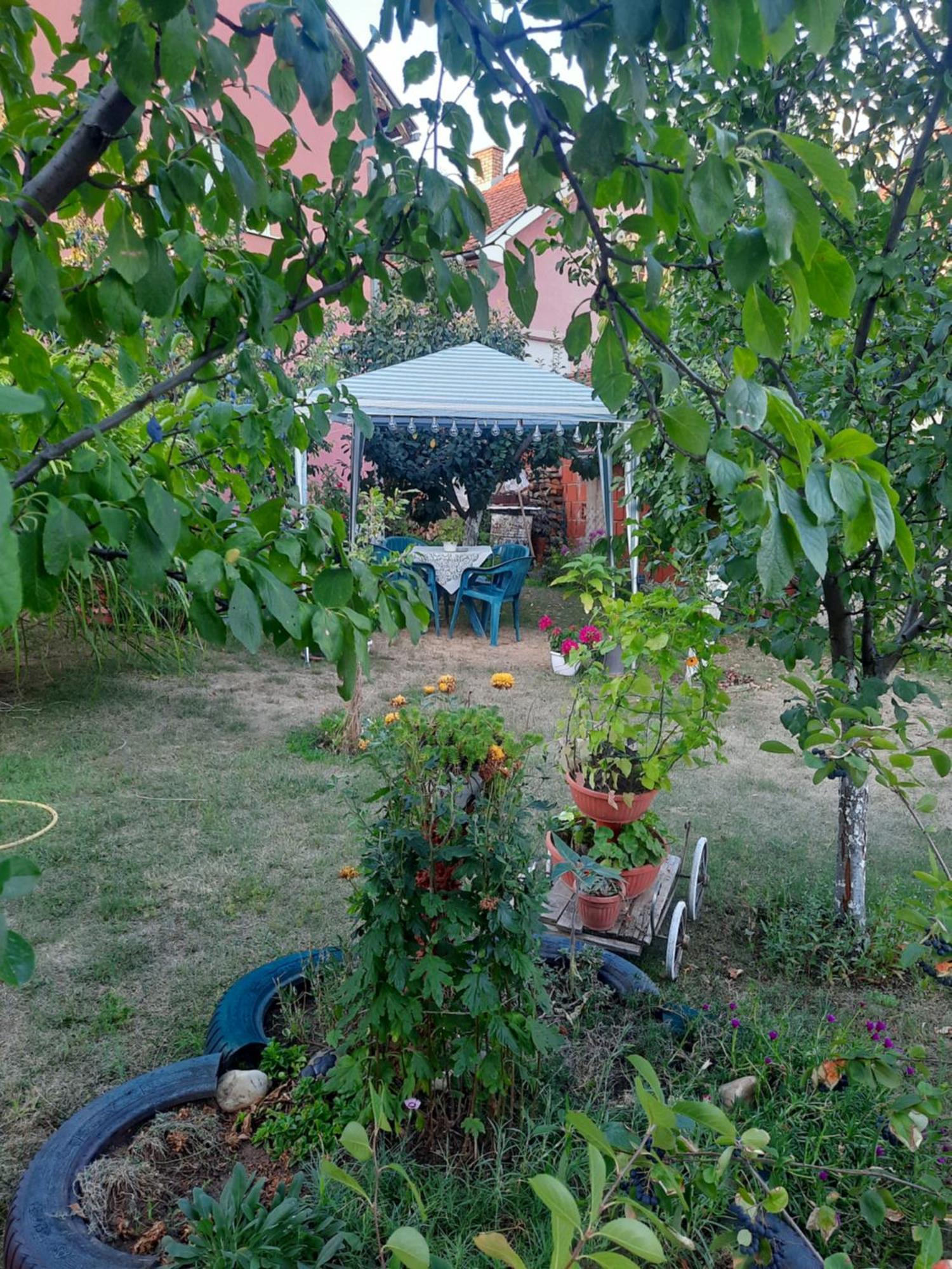Berilovac Apartman Drina מראה חיצוני תמונה